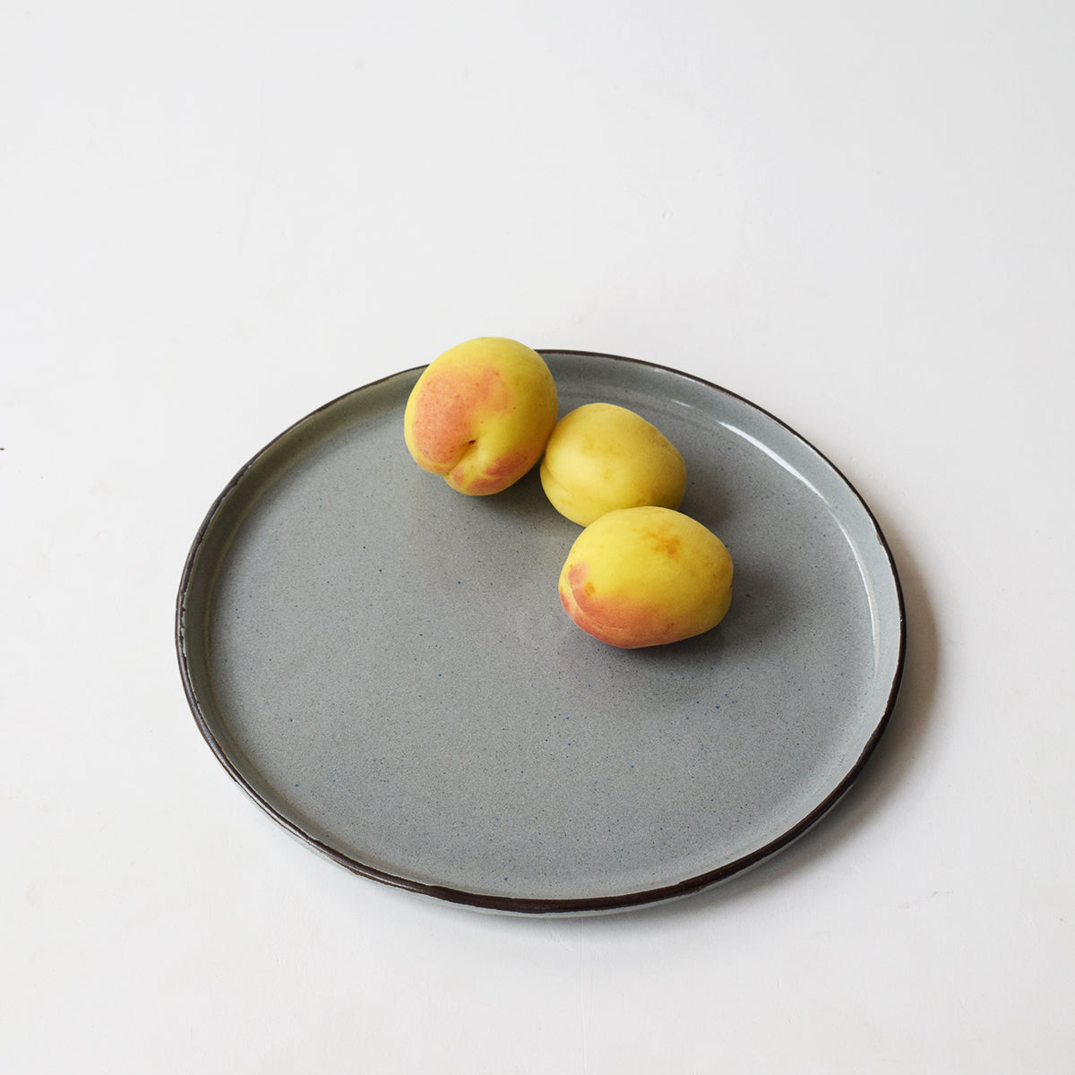 Iron Grey - Dinner Plate 11"