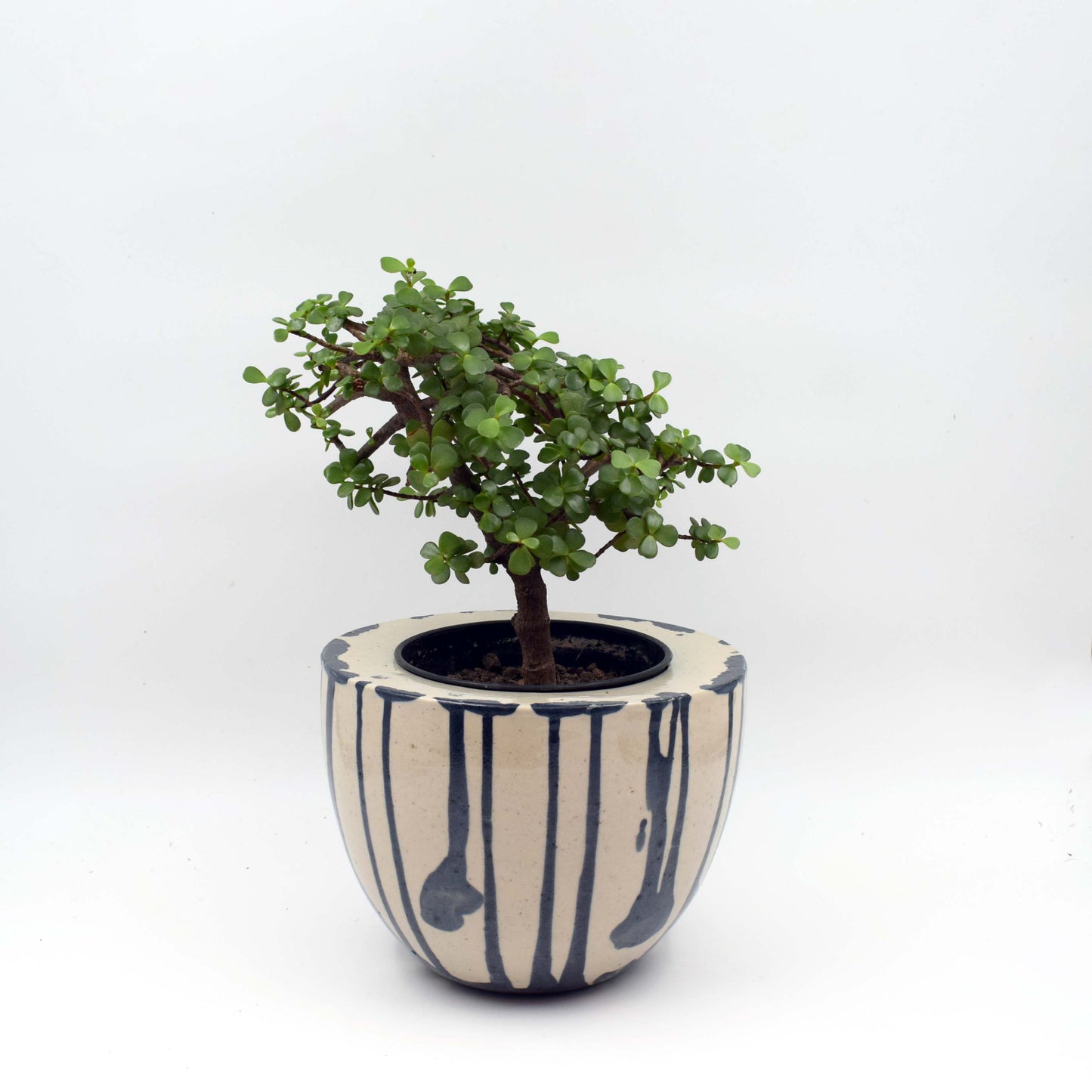 Hand painted planter Vase