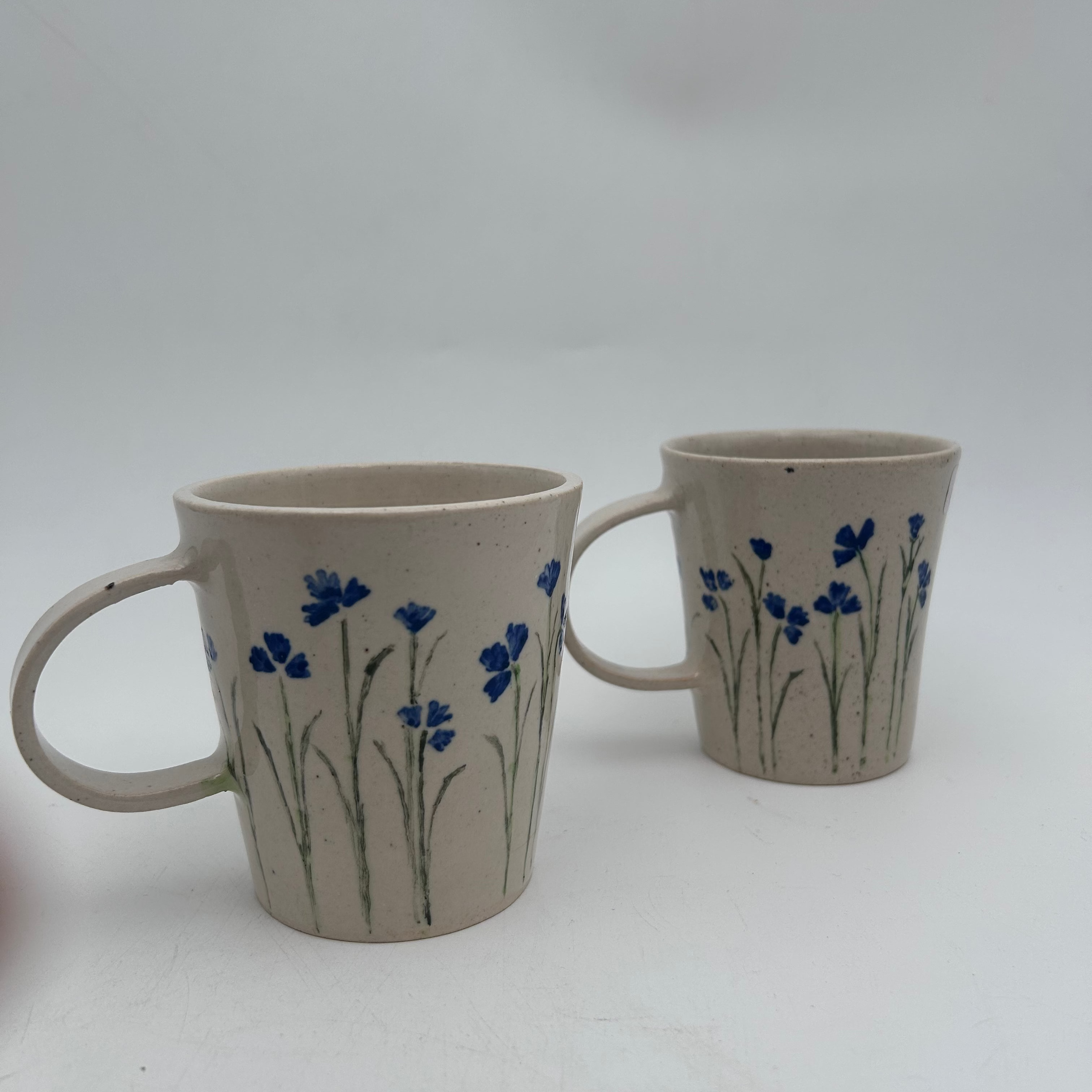 Botanical V mugs (Set of 2)