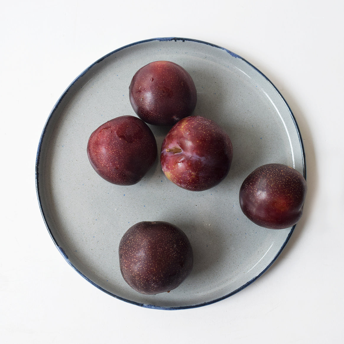 Cobalt Grey - Dessert Plate 9"